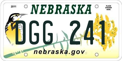 NE license plate DGG241