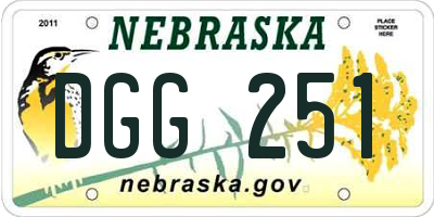 NE license plate DGG251