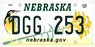 NE license plate DGG253