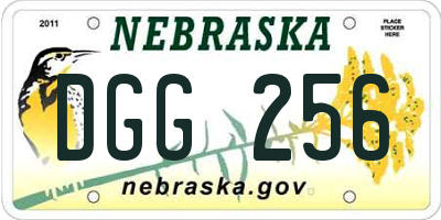 NE license plate DGG256