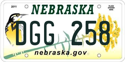 NE license plate DGG258