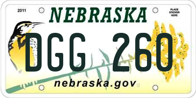 NE license plate DGG260