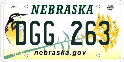 NE license plate DGG263