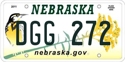 NE license plate DGG272