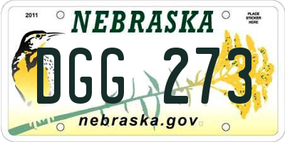 NE license plate DGG273