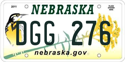 NE license plate DGG276