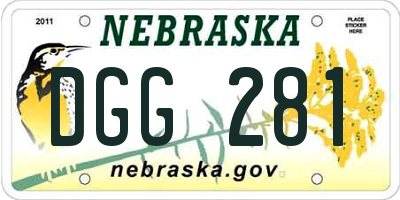 NE license plate DGG281