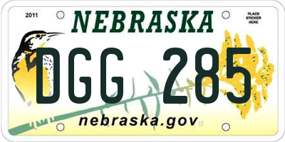 NE license plate DGG285