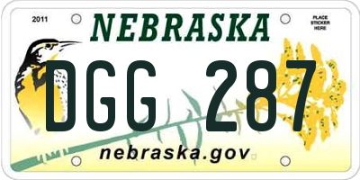 NE license plate DGG287