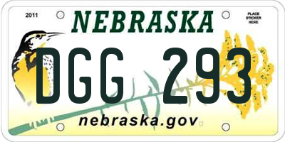 NE license plate DGG293