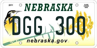 NE license plate DGG300