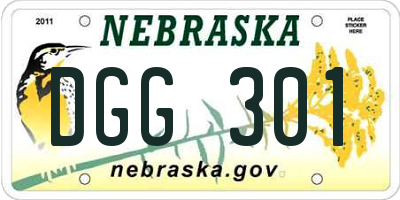 NE license plate DGG301