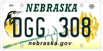 NE license plate DGG308