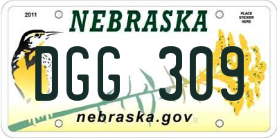 NE license plate DGG309