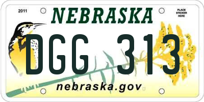 NE license plate DGG313
