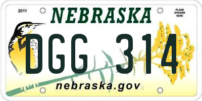 NE license plate DGG314