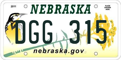 NE license plate DGG315