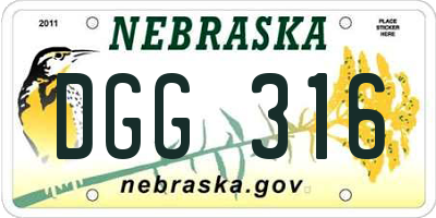 NE license plate DGG316