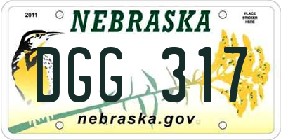 NE license plate DGG317