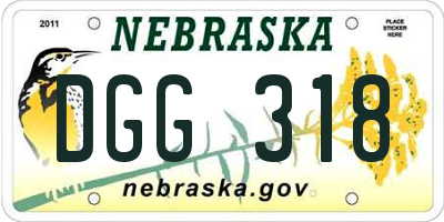 NE license plate DGG318