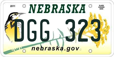 NE license plate DGG323