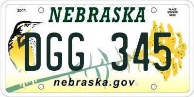 NE license plate DGG345