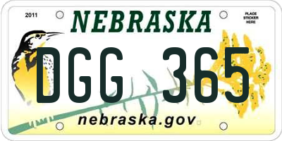 NE license plate DGG365
