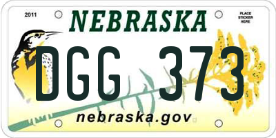 NE license plate DGG373