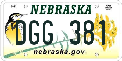 NE license plate DGG381