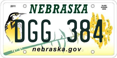 NE license plate DGG384