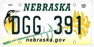 NE license plate DGG391