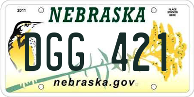 NE license plate DGG421