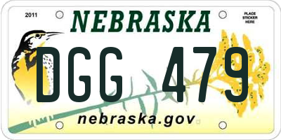 NE license plate DGG479