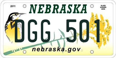 NE license plate DGG501
