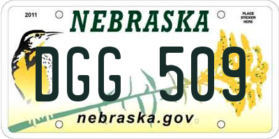 NE license plate DGG509