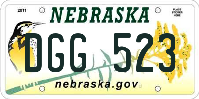 NE license plate DGG523