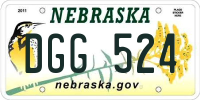 NE license plate DGG524