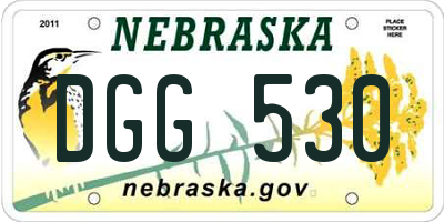NE license plate DGG530