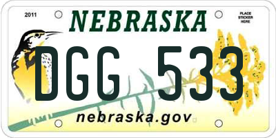 NE license plate DGG533