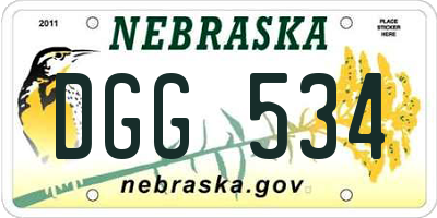 NE license plate DGG534