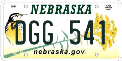 NE license plate DGG541