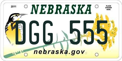 NE license plate DGG555