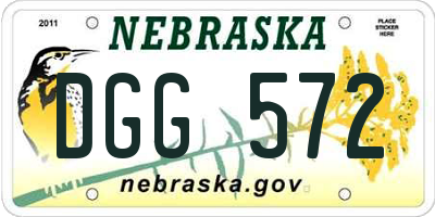 NE license plate DGG572