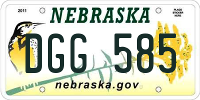 NE license plate DGG585