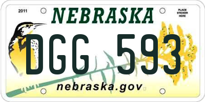 NE license plate DGG593