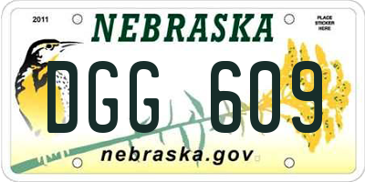 NE license plate DGG609