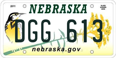 NE license plate DGG613