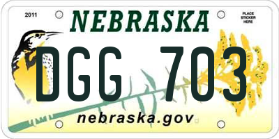 NE license plate DGG703