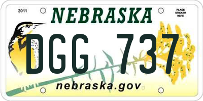 NE license plate DGG737