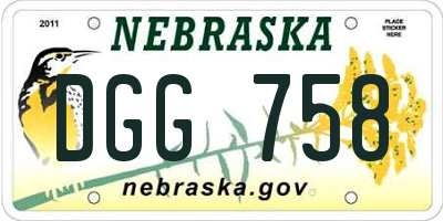 NE license plate DGG758